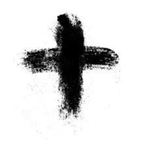 Meet your Posher, Carlina